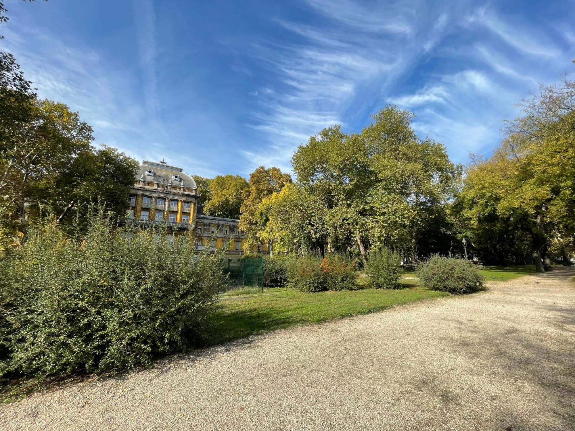 Margaret Apartment Next To The Lukacs Spa With Panorama Danube Budapest Exteriör bild