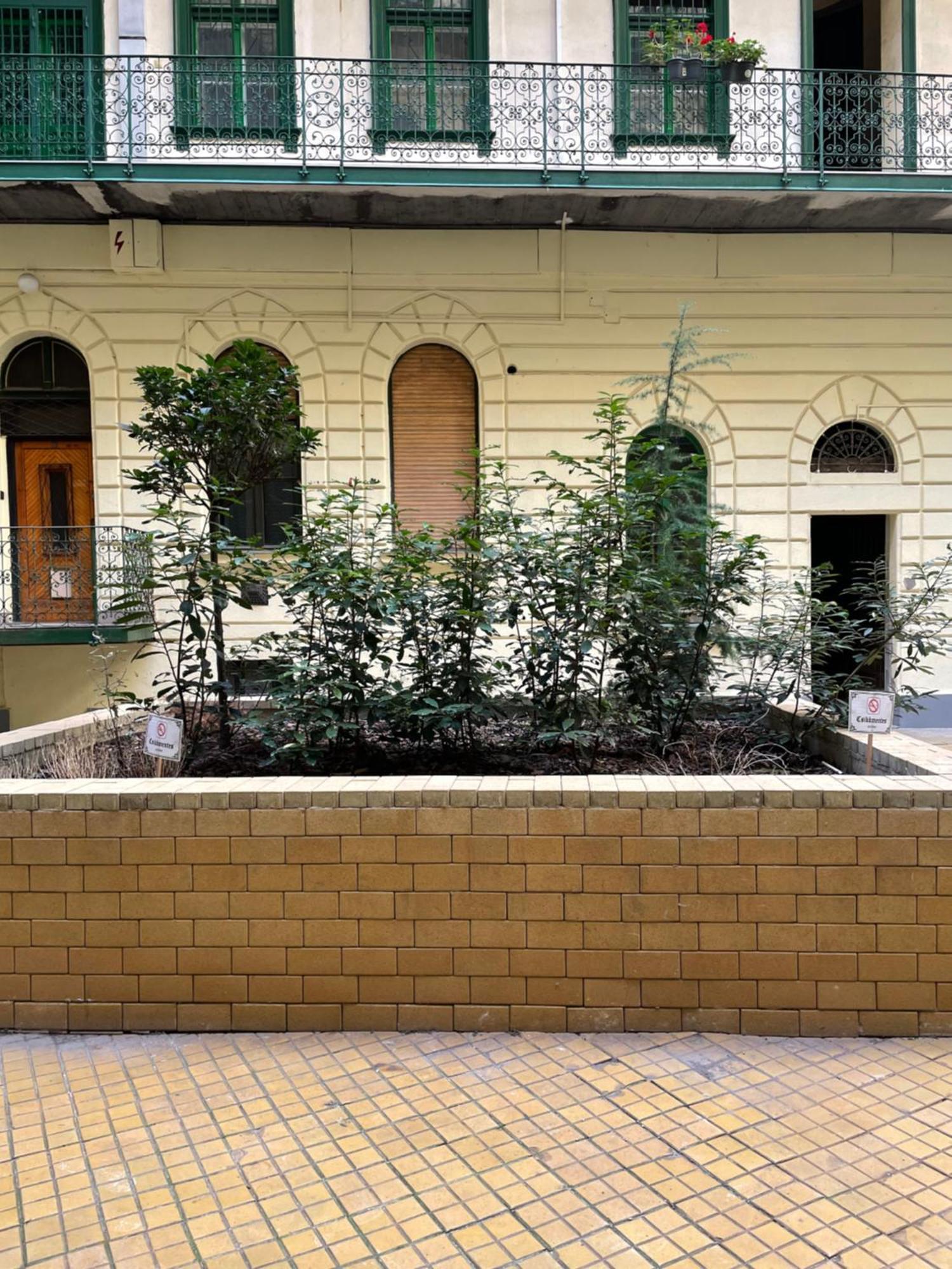 Margaret Apartment Next To The Lukacs Spa With Panorama Danube Budapest Exteriör bild