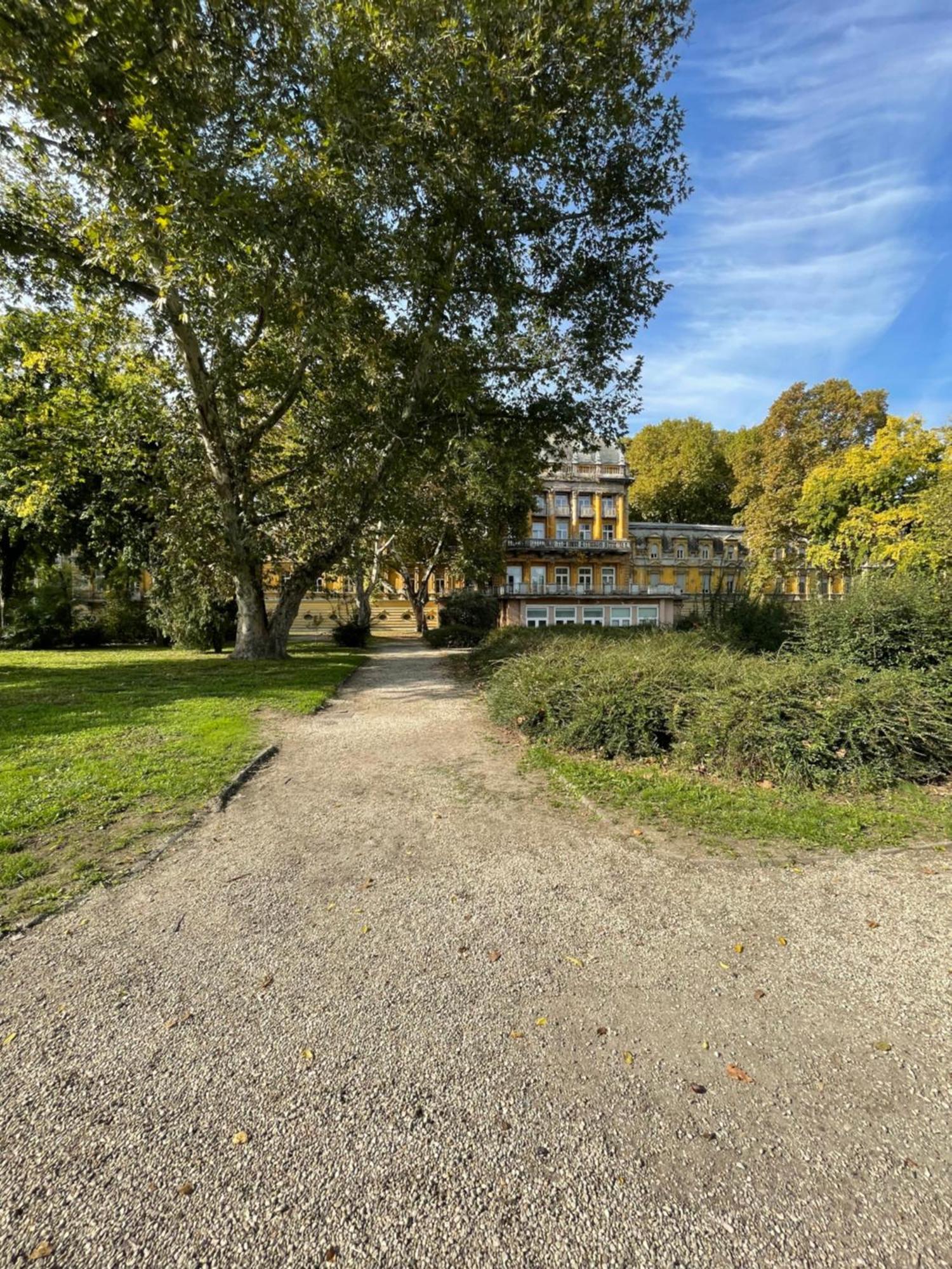 Margaret Apartment Next To The Lukacs Spa With Panorama Danube Budapest Exteriör bild