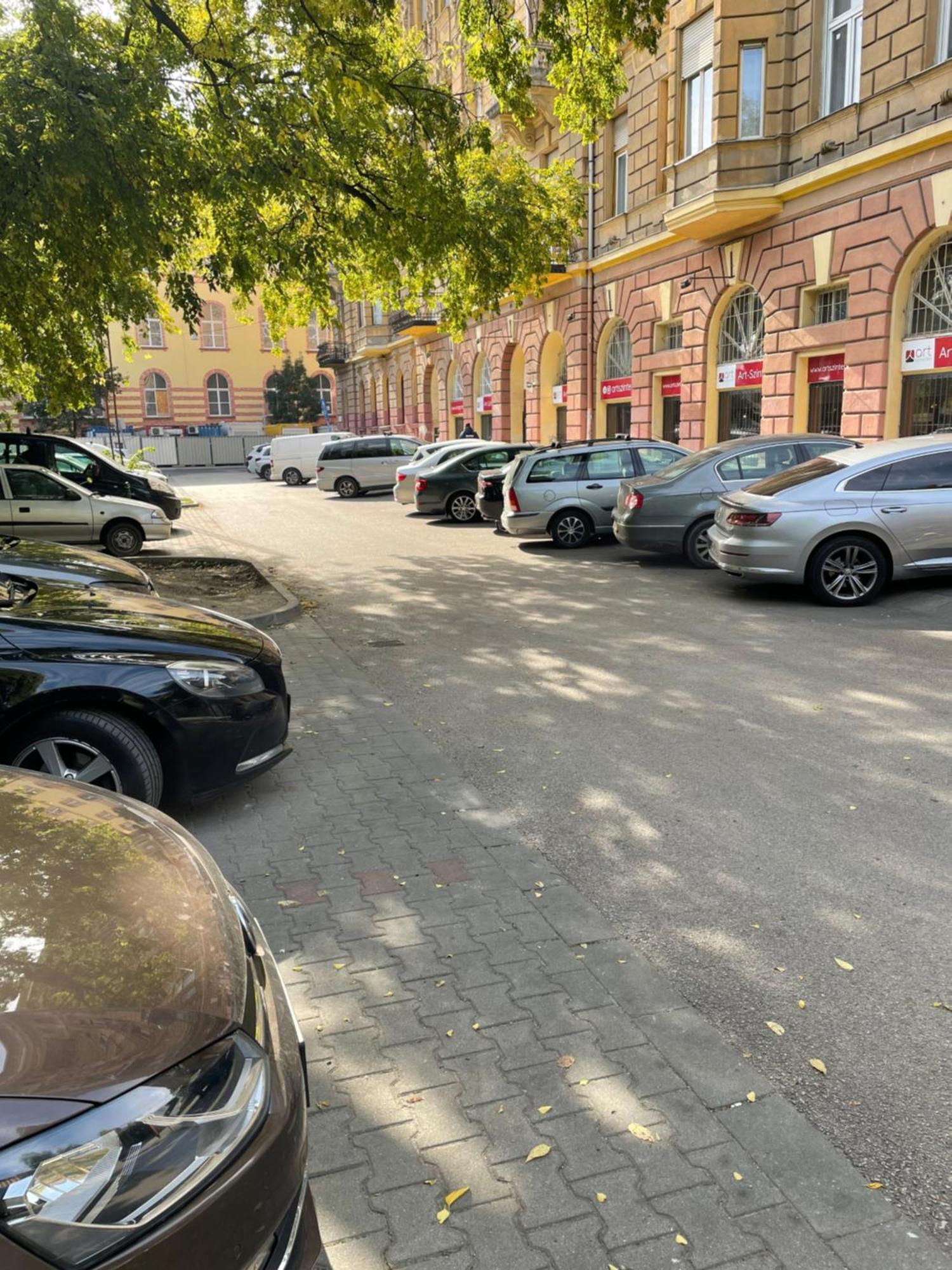 Margaret Apartment Next To The Lukacs Spa With Panorama Danube Budapest Exteriör bild